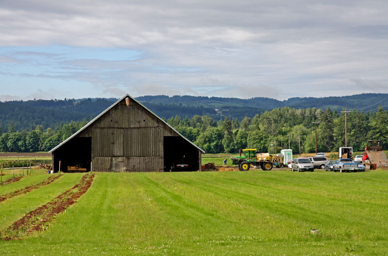 Hoffman Farms Store