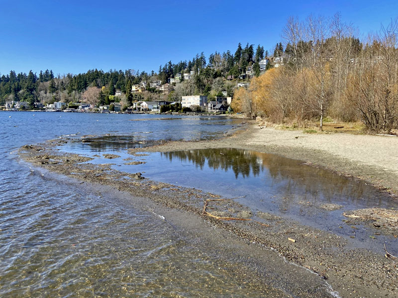 Juanita Beach Lake Washington